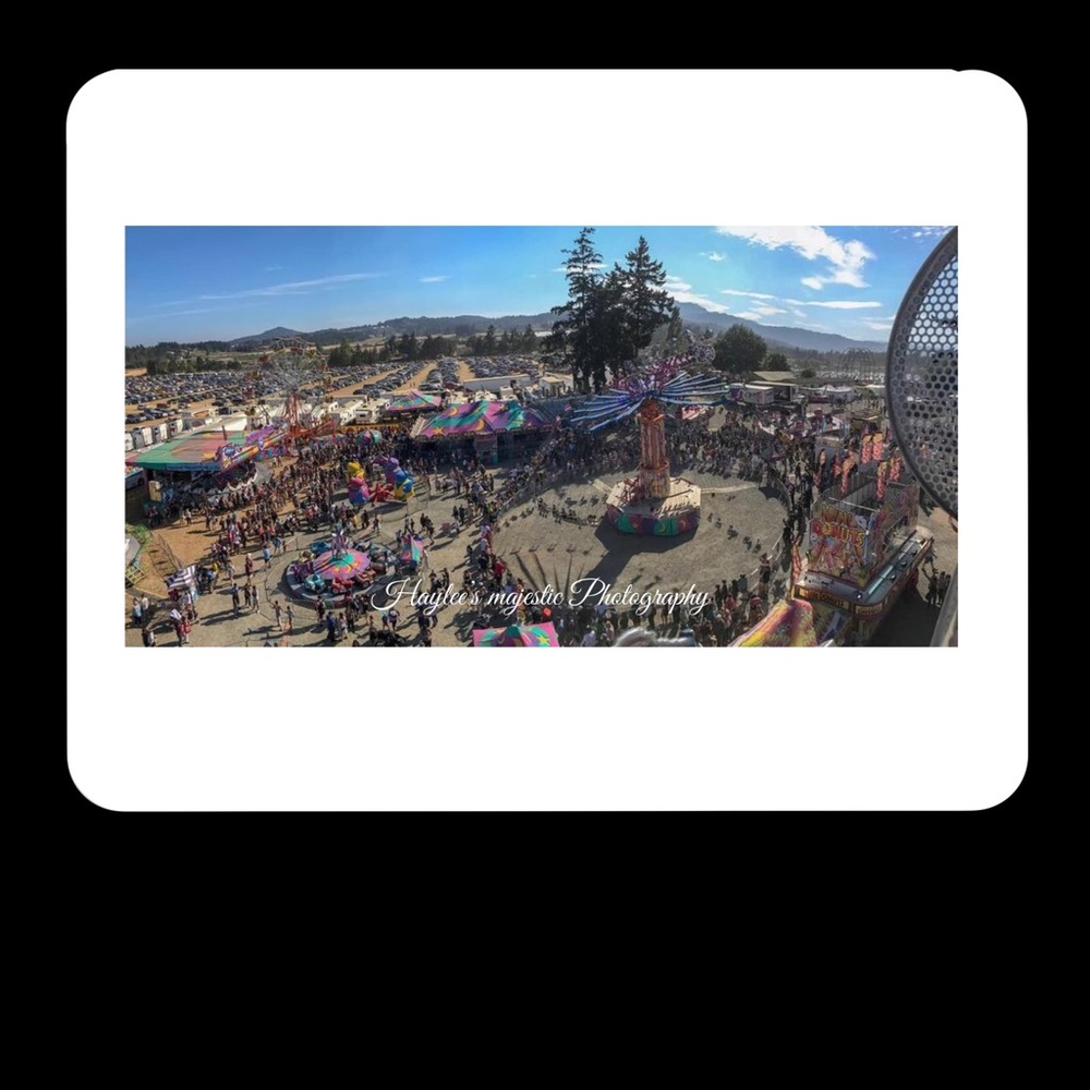 Homemade (MY OWN) Photography vinyl waterproof stickers